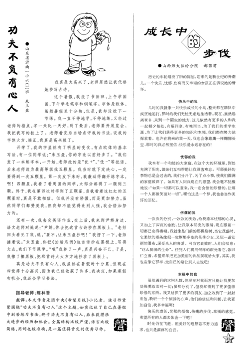 功夫不负有心人