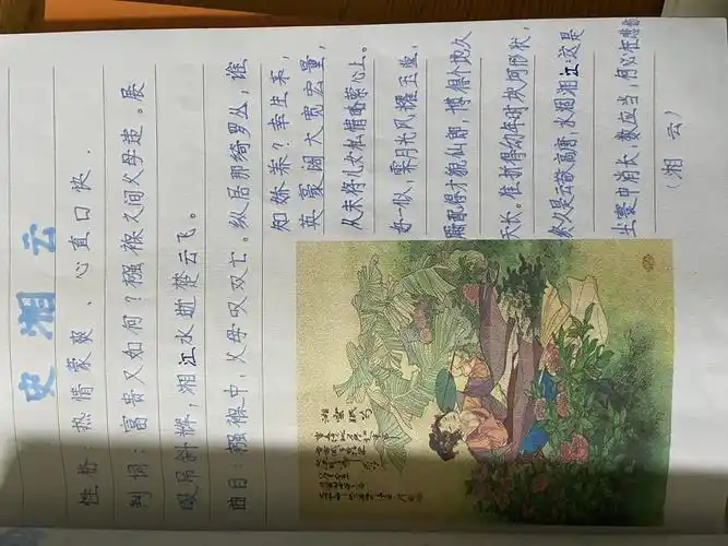 我的暑假自编书