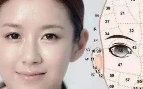 面相风水鼻子分析图,对应看看你财运如何?