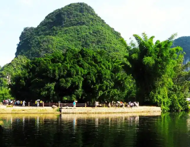 阳朔多胜处大榕树风光摄于桂林阳朔