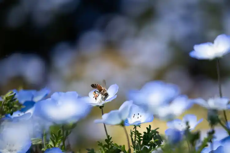 运势与日俱增,事业腾飞的星座:水瓶座的人充满希望,充满野心,注定发大