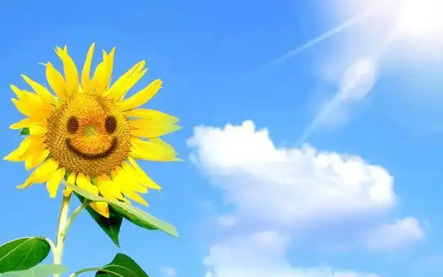 有些癌症是被气出来的心情愉快能减少复发转移风险吗