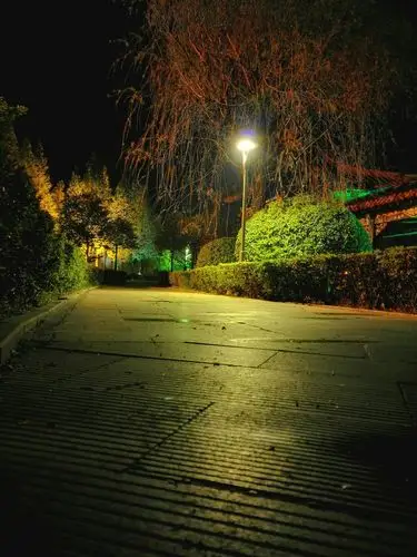 雨后的夜晚 - 花粉随手拍唯美风景 花粉俱乐部