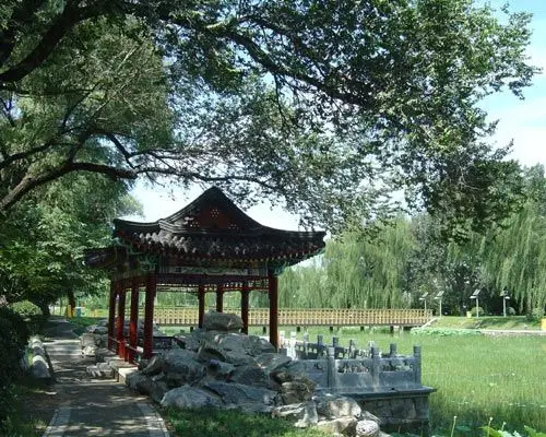 北京最美中学系列之101中学