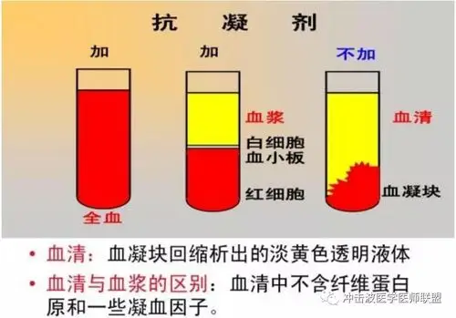 血浆血清如何真确的区别