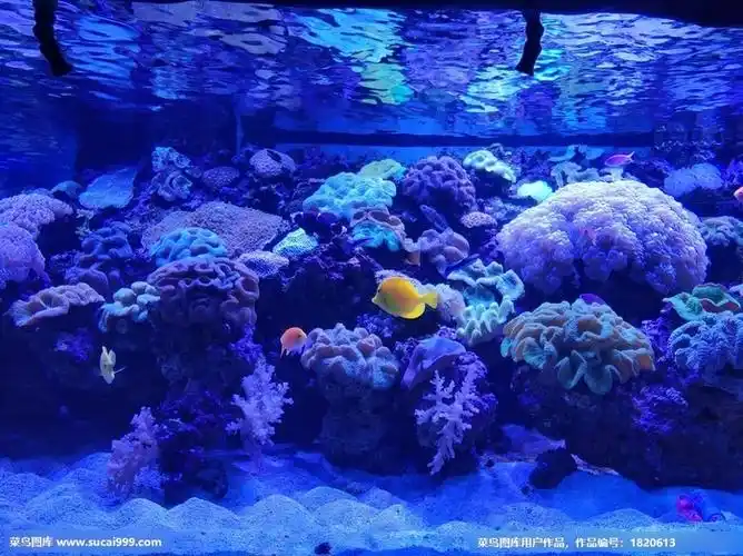 水族馆图片
