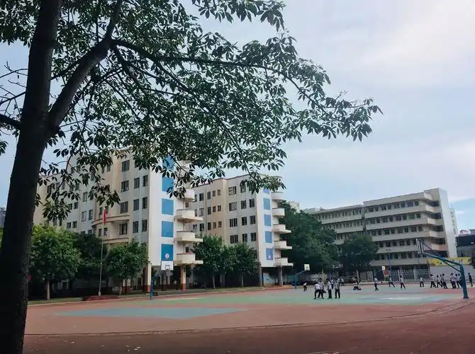 寻找徐闻最美中学你的母校上榜了吗