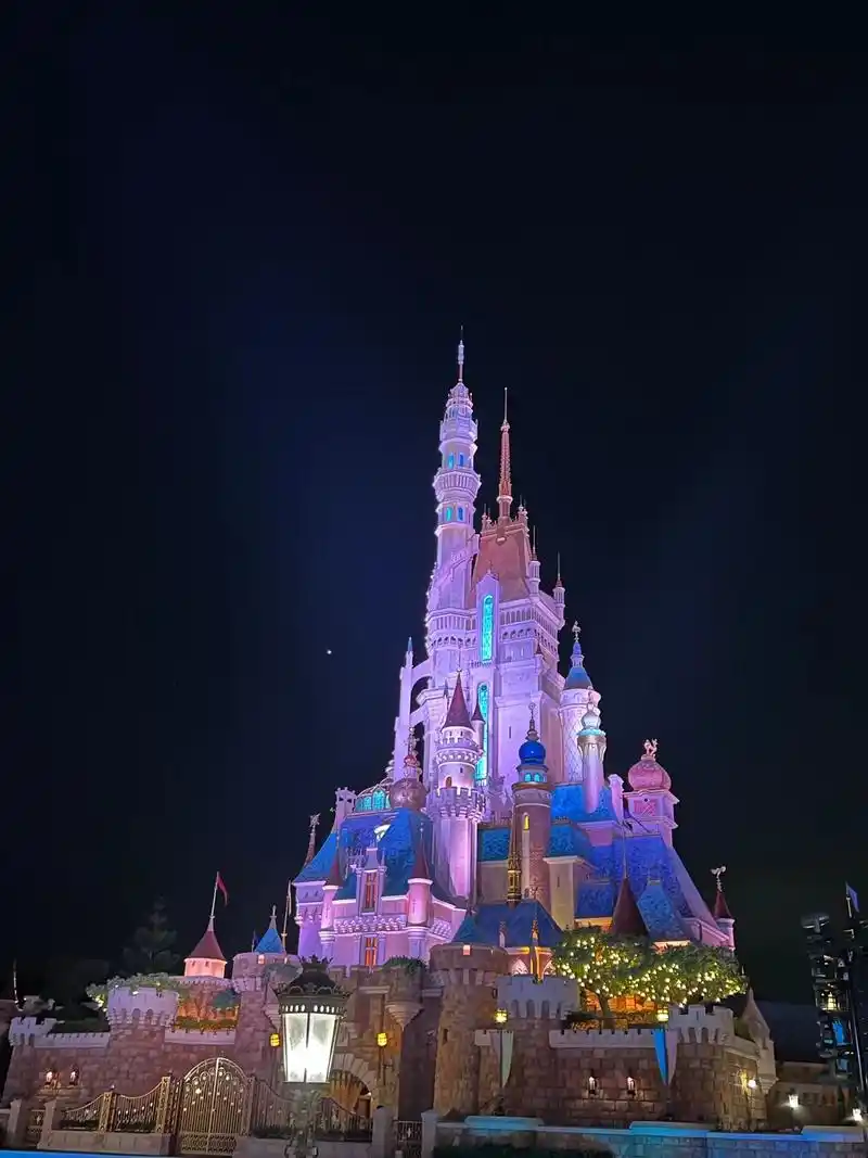 夜晚的迪士尼城堡 - 抖音