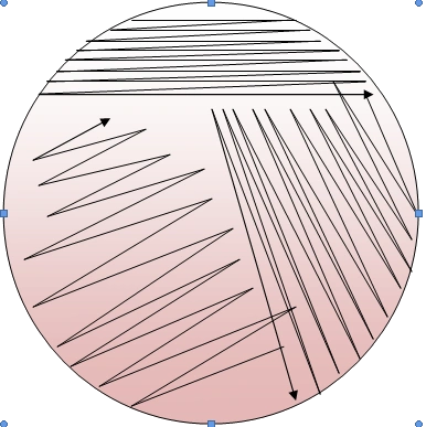副本菌种平板划线三区分离法22