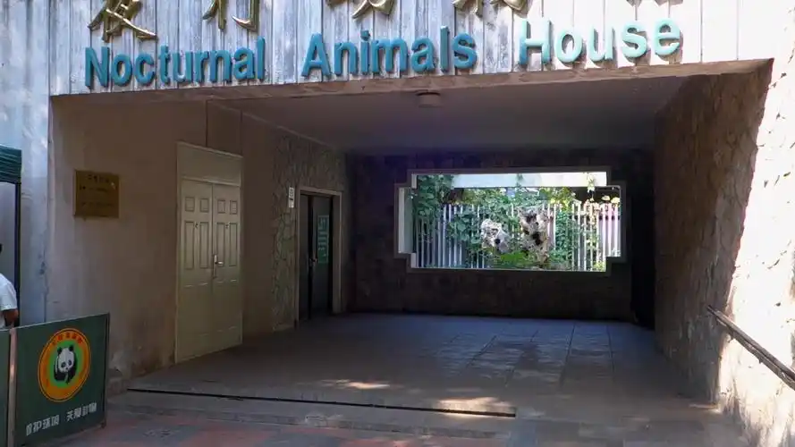 北京动物园(东区):夜行动物馆