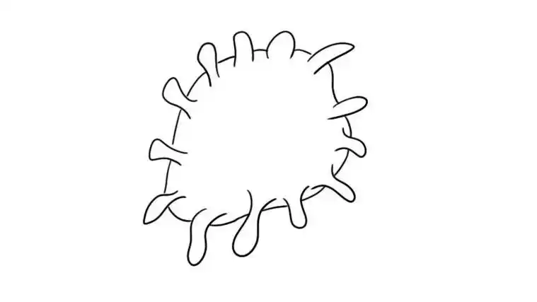 冠状病毒简笔画画法冠状病毒简笔画