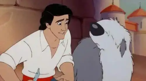 我们是不是可以来选艾瑞克王子的狗了.