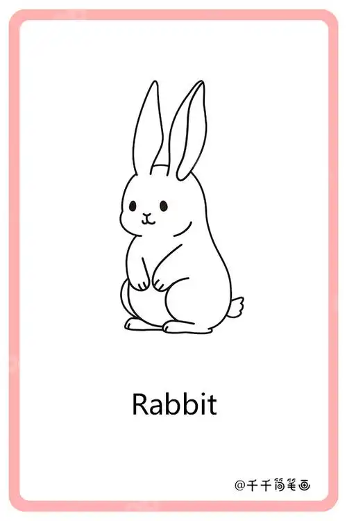 儿童英语词汇认知 兔子rabbit_动物英文认知简笔画