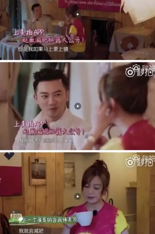 苏有朋和赵薇(赵薇苏有朋合体亮相)