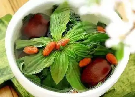 车前草泡水喝不到一个月身体就发生了很好的变化