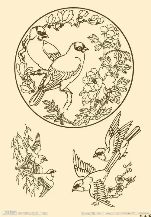 中国纹样 白头翁