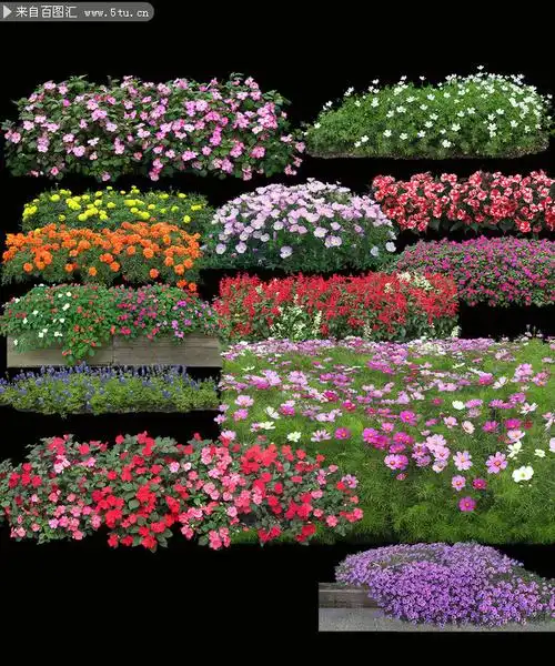 景观花草psd素材