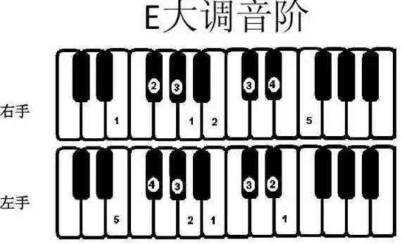 e大调:e,f#,g#,a,b,c#,d#,e 钢琴e大调的和弦 1,e和弦 e,升g,b,属于