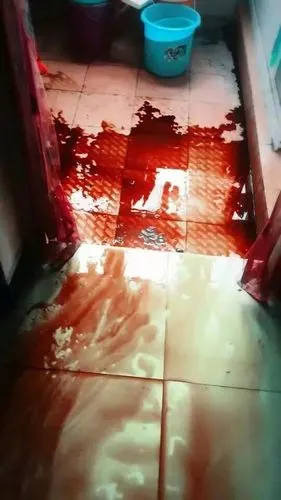 血案现场 返回搜