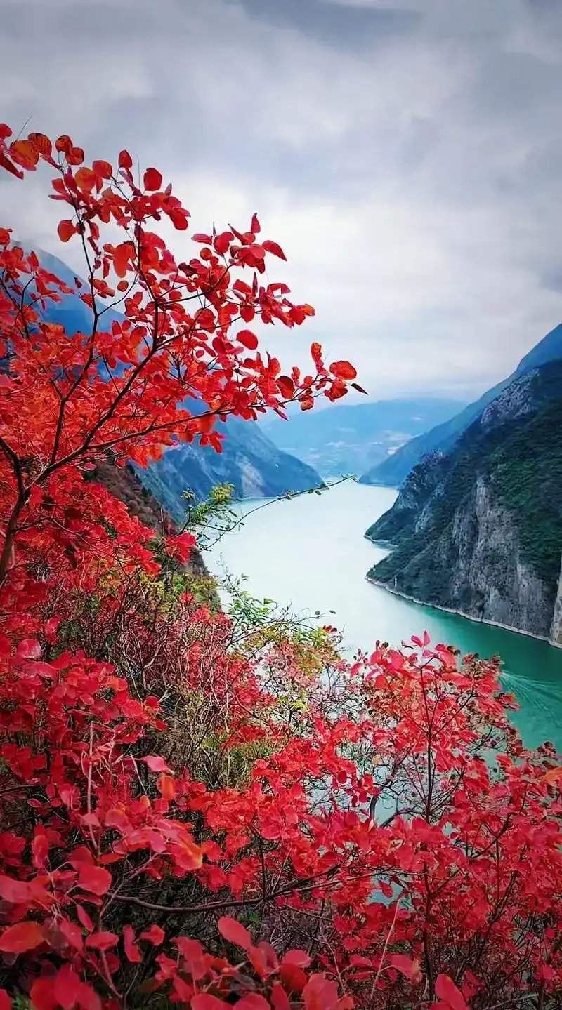 白帝城·瞿塘峡景区,位于重 - 抖音