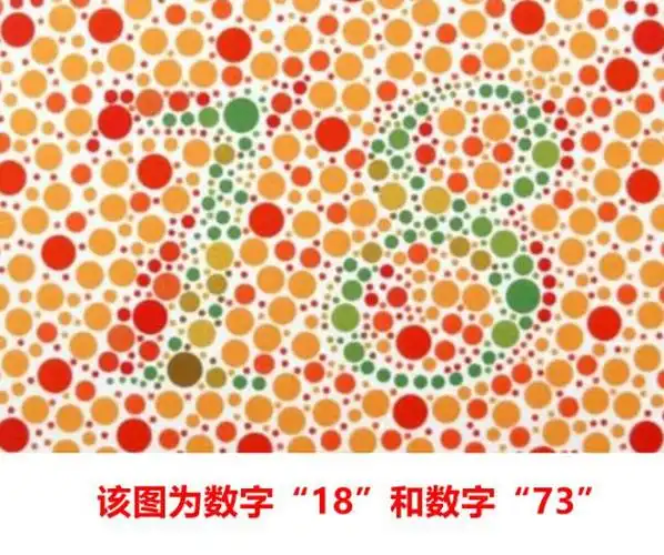 5张色盲测试图:图2中有两组数字,只看到一组,那你无缘考驾照