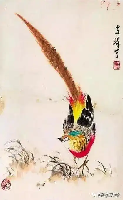 国画技法写意锦鸡的画法