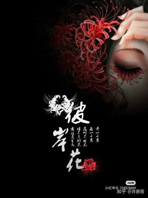 黑色彼岸花的花语:天生的幸运儿,有着不止的幸福.