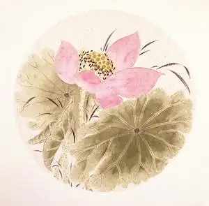 包邮原创手绘中国画写意没骨荷花荷塘莲蓬无款38cm熟宣卡纸00487