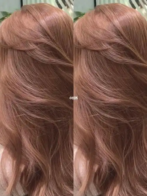 焦糖橘棕色,在阳光下看着有点脏橘色,更多的棕色调,拍照很好