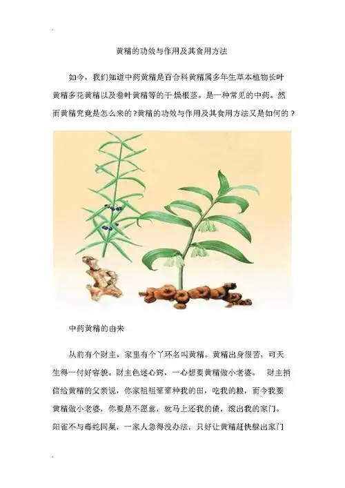 九蒸九晒后服用黄精的功效和作用,真能"驻颜辟谷"