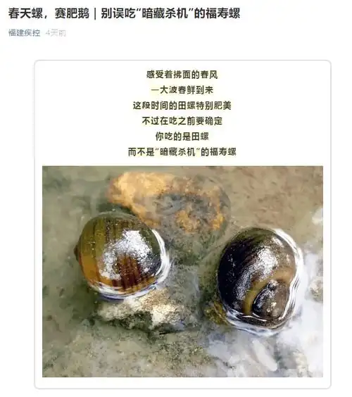 警惕!千万别吃这种螺,严重可致命-搜狐大视野-搜狐新闻