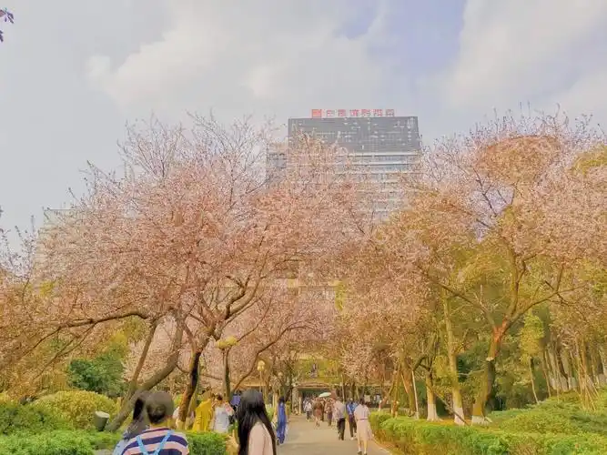 大学 #湖南女子学院 #女大学生 #校园随拍 #开学 国庆 - 抖音