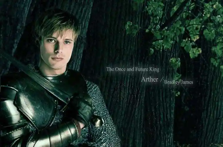 亚瑟王的12圆桌骑士分别是哪12个,他们的首领是谁?