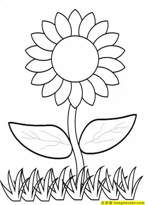 10张生气的高兴的向日葵花朵卡通儿童简笔画-红豆饭小学生简笔画大全