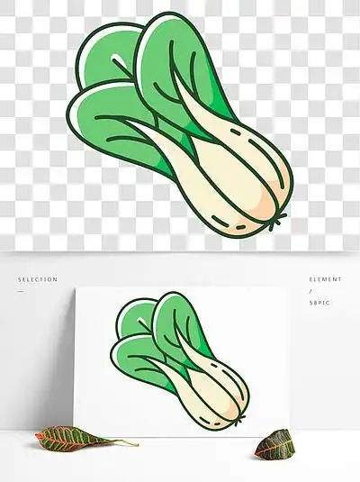 白菜rgb颜色 i>图 /i> i>标 /i>天然蔬?