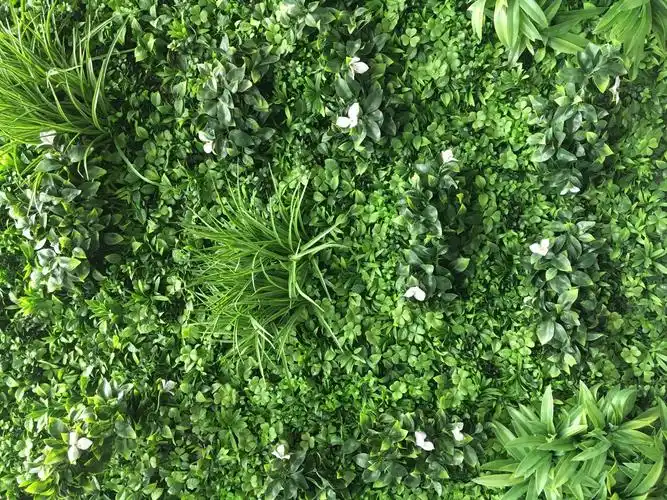合成纤维绿植墙 / 室内