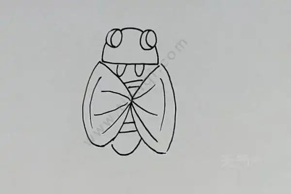 粪金龟儿童简笔画 粪金龟简笔画怎么画