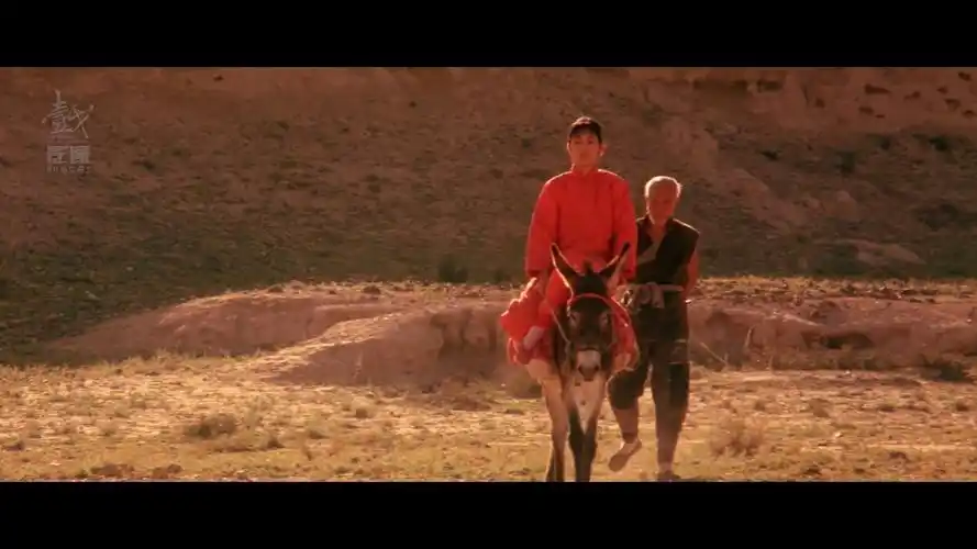 《红高粱》国产电影走向世界的里程碑,5毛钱票价卖了4000万 - 知乎