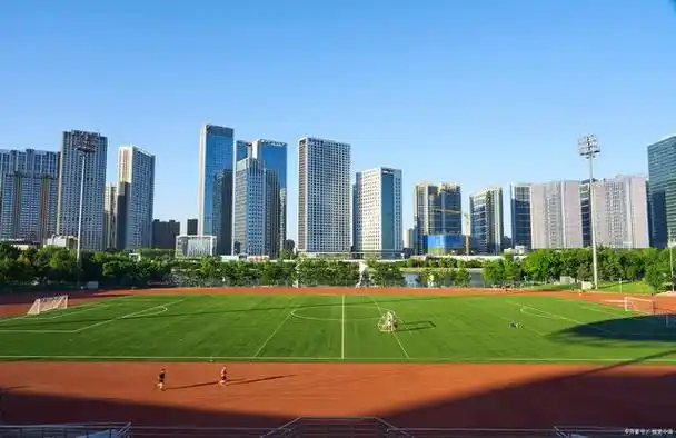 在福田体育公园,找到属于你的运动天地!——深圳免费50景(40)