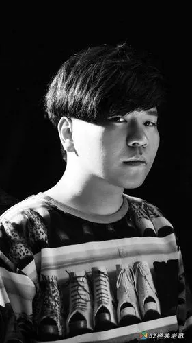 常石磊的歌《山楂树之恋》歌词 试听有感