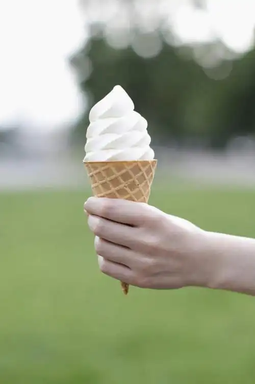 模糊,冰激凌,清凉,拿,拿着,黄种人,草,树,树木,一个,绿色,自然,冷饮