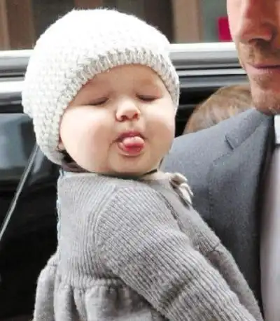 原来小七很开心的时候会这样走路,超可爱