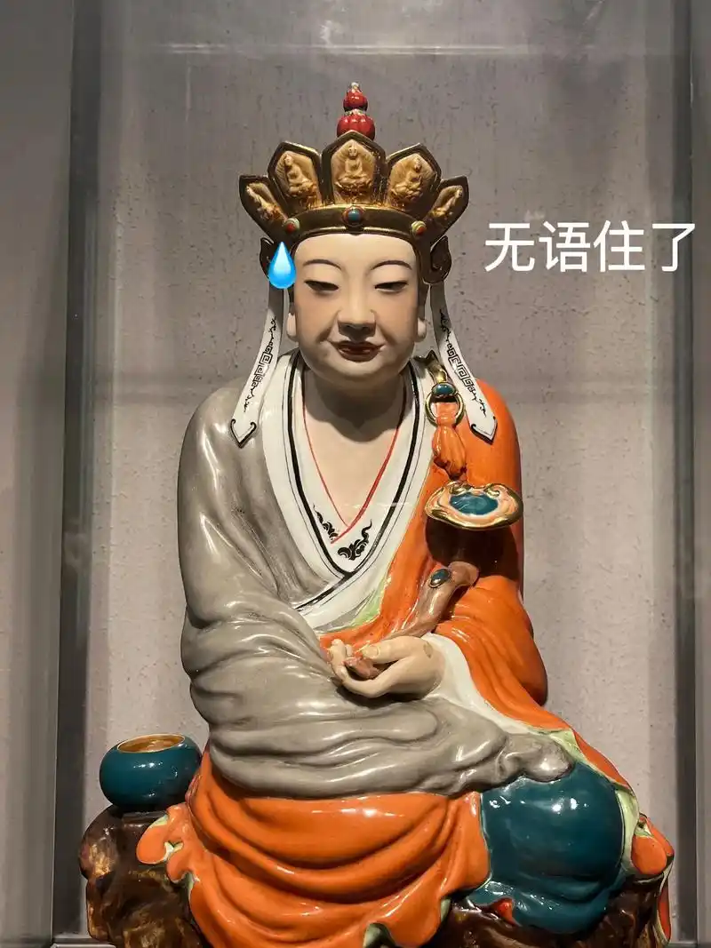 亲眼见见显眼包菩萨们….#无语菩萨 # - 抖音