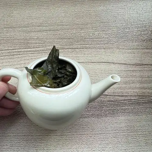 四,铁观音泡茶口感