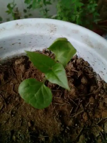 分享到:  21 分钟前  提问者采纳 紫茉莉 提问者评价 太给力了,你的