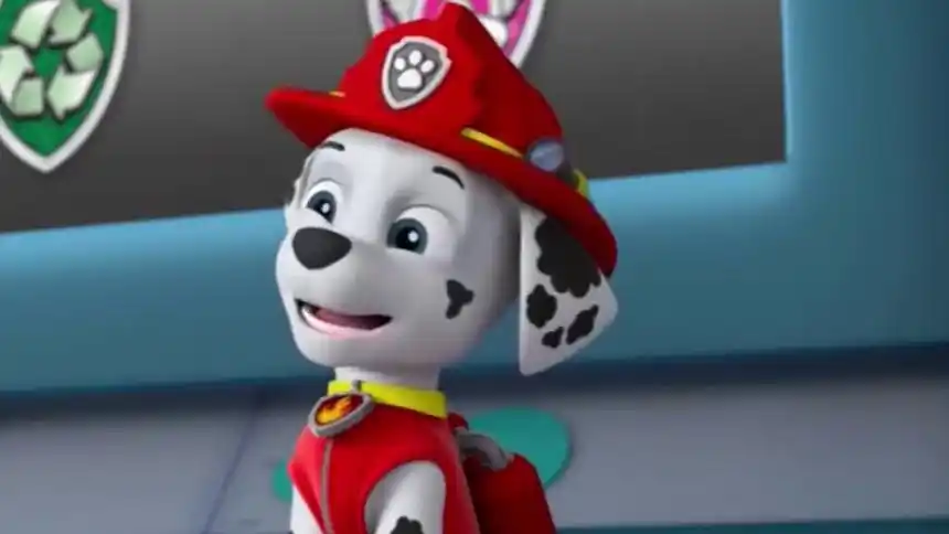 00标清倍速跳过片头片尾50u0%毛毛当家看了还会看全1集汪汪队立