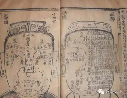 欣赏相术精要面相