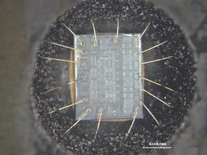 芯片封装在x-ray下的景象