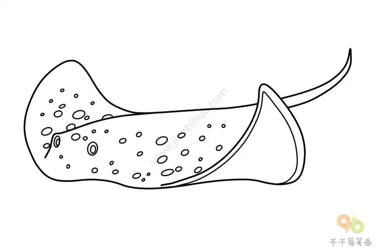 鳐鱼简笔画画法