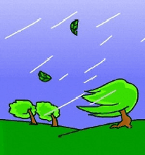 昨,大风,今降温,首次零下了,-2℃.北方应给很冷了吧!